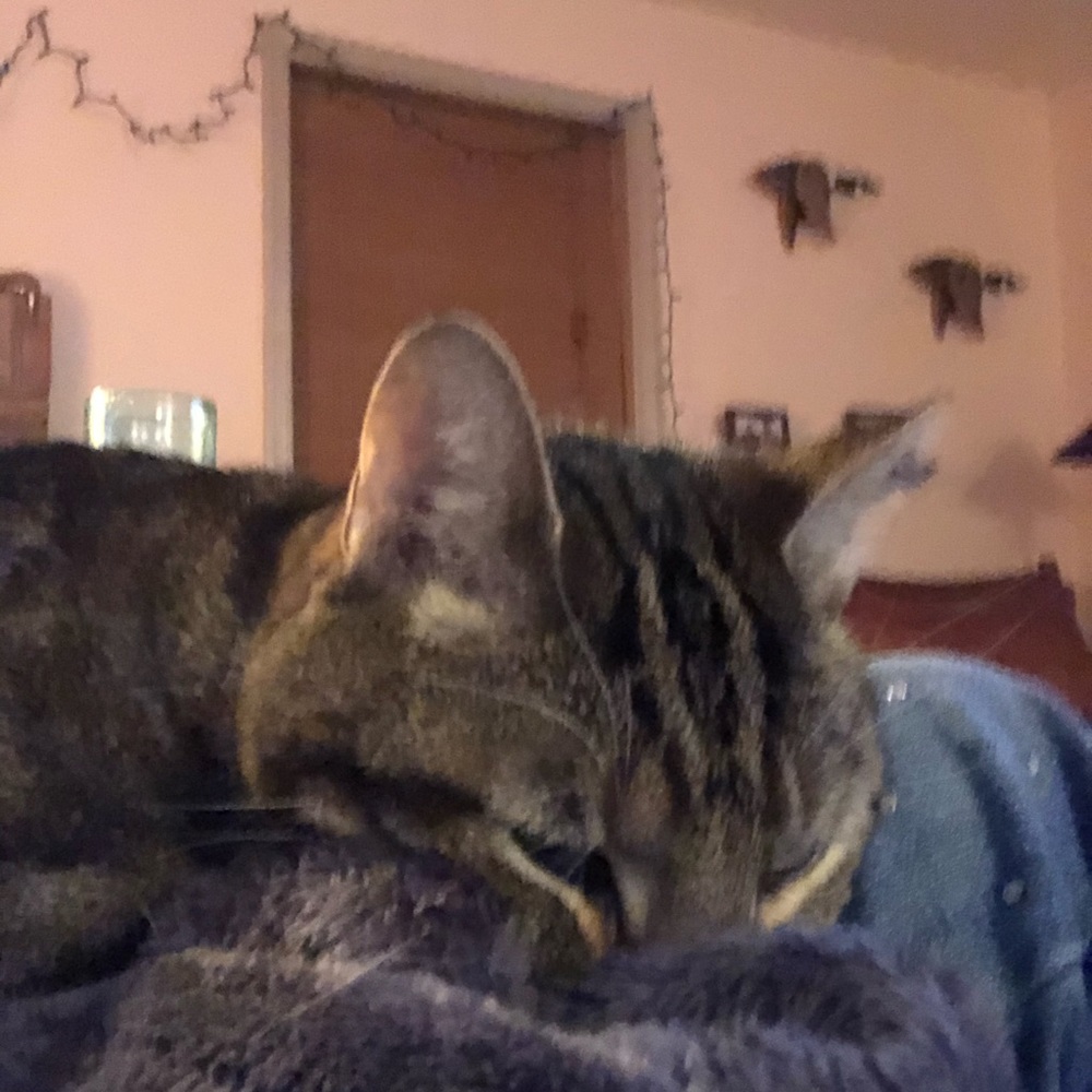 Meet your Posher, Kate